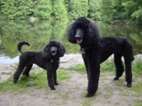 Evi + Hanka